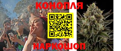 дмт Заводоуковск